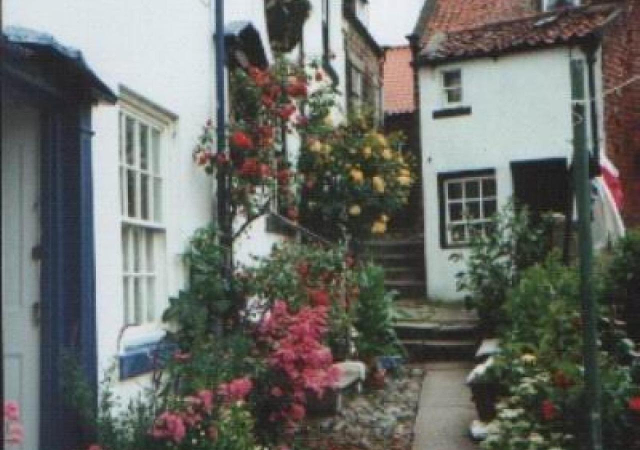 Alice Cottage Робин-Худс-Бей Экстерьер фото